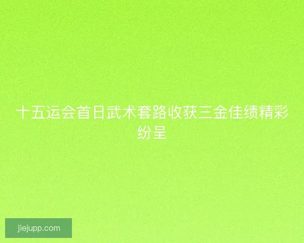 十五运会首日武术套路收获三金佳绩精彩纷呈